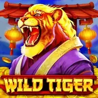Wild Tiger слот обзор